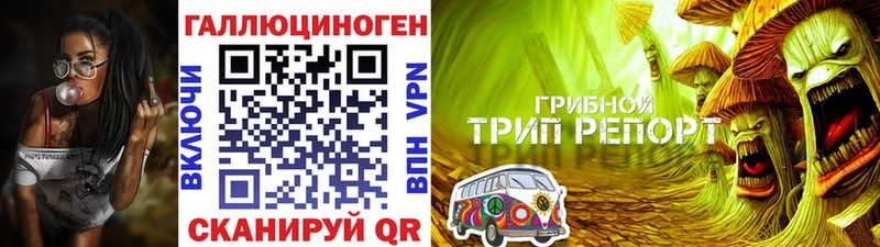 МЕГА ссылка  Белинский  Галлюциногенные грибы Psilocybe 